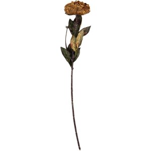 Clayre & Eef 6PL0405DY Kunstbloem Geel-Groen 10x10x65 cm