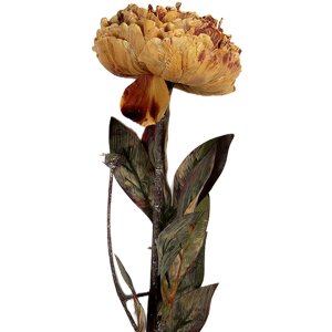 Clayre & Eef 6PL0405O Kunstbloem 10x10x65 cm Oranje...