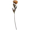 Clayre & Eef 6PL0405Y Kunstbloem 10x10x65 cm Geel Groen