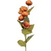 Clayre & Eef 6PL0409O Decoratieve Tak met Bloemen 10x10x63 cm