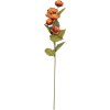 Clayre & Eef 6PL0409O Decoratieve Tak met Bloemen 10x10x63 cm