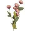Clayre & Eef 6PL0409P Decoratieve tak met bloemen 10x10x63 cm