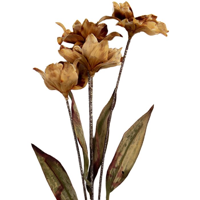 Clayre & Eef 6PL0403LCH Decoratieve Tak met Bloemen 8x5x60 cm