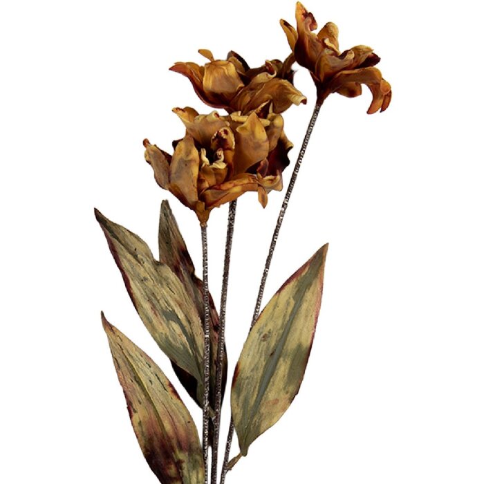 Clayre & Eef 6PL0403LO Decoratieve Tak met Bloemen 8x5x60 cm