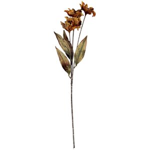 Clayre & Eef 6PL0403LO Decoratieve Tak met Bloemen 8x5x60 cm