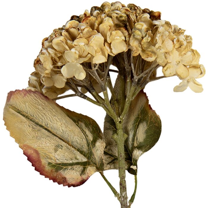 Clayre & Eef 6PL0404BE Decoratieve Tak met Bloemen 15x15x47 cm Beige-Groen