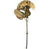 Clayre & Eef 6PL0404BE Decoratieve Tak met Bloemen 15x15x47 cm Beige-Groen