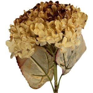 Clayre & Eef 6PL0404CR Decoratieve Tak met Bloemen 15x15x47 cm