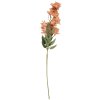 Clayre & Eef 5PL0191P Decoratieve Tak met Bloemen 10x10x72 cm Roze