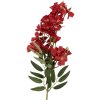 Clayre & Eef 5PL0191R Decoratieve tak met bloemen 10x10x72 cm Rood & Groen