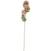 Clayre & Eef 6PL0397P Decoratieve Tak met Bloemen 10x8x64 cm Roze