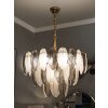 Mauro Ferretti Plafondlamp Leafy Multicolor Glas Ø 60x40-87 cm 9xE14