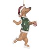 Clayre & Eef 6PR5308 Decoratiehanger Hond 6x3x10 cm Bruin & Groen
