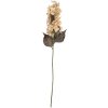 Clayre & Eef 6PL0396BE Decoratieve Tak met Bloemen 8x8x72 cm Beige-Groen
