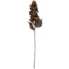 Clayre & Eef 6PL0396CH Decoratieve tak met bloemen 8x8x72 cm