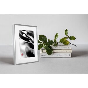 FramesFactory Aluminium fotolijst 15x21 cm zilver