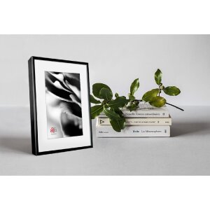 FramesFactory Aluminium fotolijst 21x29,7 cm zwart