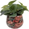 Clayre & Eef 66394 Bloempot Ø 13x10 cm Roze Groen