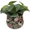 Clayre & Eef 66395 Bloempot Ø 13x10 cm Grijs Roze