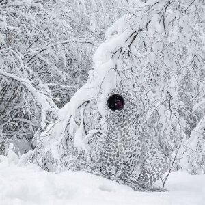 Buteo Photo Gear 3D Bladeren Camouflage Net Sneeuw 1,5x3 m