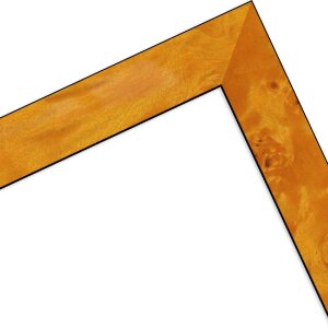 MendeFrames Holzrahmen H14D worteldecor zwart 70x90 cm antireflectieglas