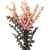 Clayre & Eef 6PL0329P Decoratieve tak met bloemen roze groen 20x20x103 cm