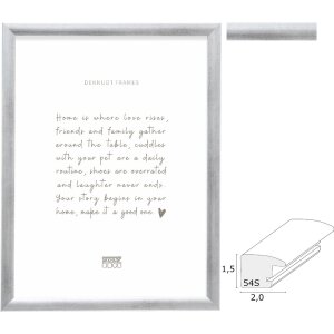 Deknudt S54SD3 Fotolijst Zilver Hout 6 Maten