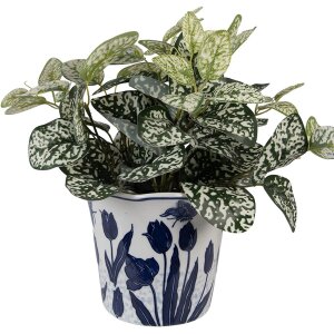 Clayre & Eef 6CE2379 Decoratieve bloempot Ø 21x16 cm
