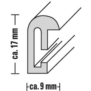 Hama Kunststoflijst Sevilla, zwart, 60 x 80 cm