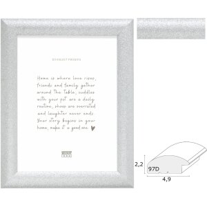 Deknudt S97DD7 houten fotolijst zilver met helderglas,...