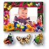 Muursticker Vlinders