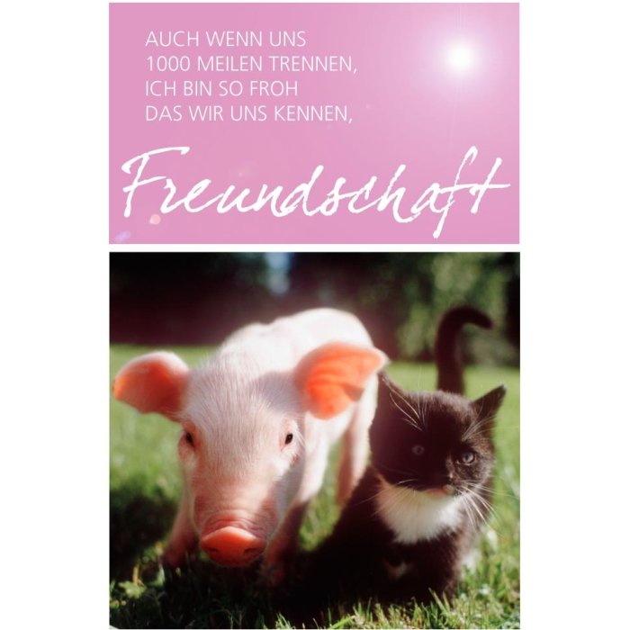 Kaart Vriendschap Knorretje