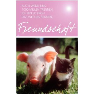 Kaart Vriendschap Knorretje