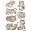 herma decoratieve etiketten decor Droll Kitten 3 vellen