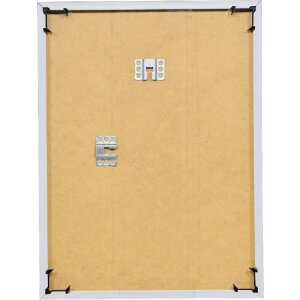 Effect kunststof lijst Art 25x60 cm roze met anti-reflexglas