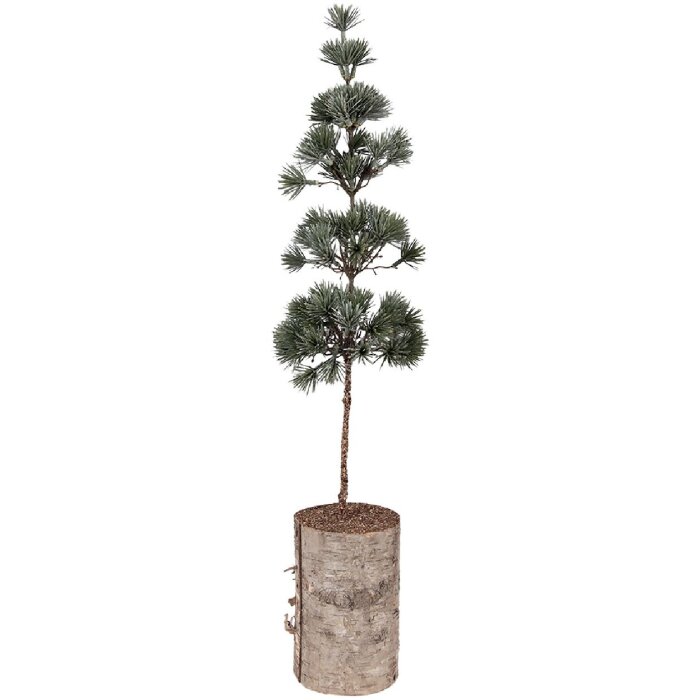Clayre & Eef 50841 Decoratieboom 14x14x60 cm Groen-Bruin