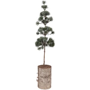 Clayre & Eef 50841 Decoratieboom 14x14x60 cm Groen-Bruin