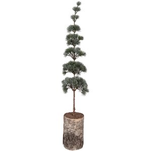 Clayre & Eef kerstdecoratie boom 80 cm groen bruin
