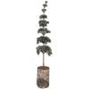 Clayre & Eef kerstdecoratie boom 80 cm groen bruin