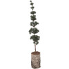 Clayre & Eef kerstdecoratie boom 80 cm groen bruin