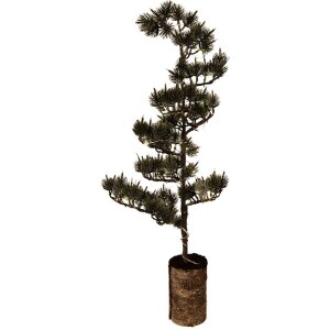 Clayre & Eef 50844 kerstdecoratie boom met LED in groen en bruin, 75x28x20 cm