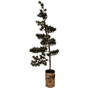 Clayre & Eef kerstboom met LED, groenbruin, 30x35x100 cm