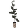 Clayre & Eef kerstboom met LED, groenbruin, 30x35x100 cm