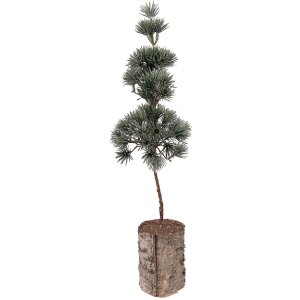 Clayre & Eef kerstboomdecoratie 14x14x45 cm, groene...