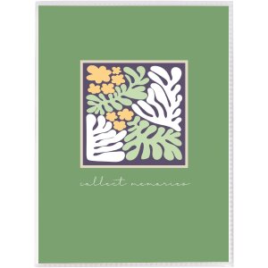 Goldbuch Einsteckalbum Aura – 32 foto’s 10x15 cm, kleurrijk sorteren