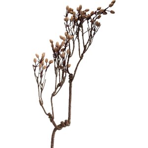 Clayre & Eef Kerstdecoratie Zweig in natuurlijke...