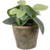 Clayre & Eef keramieke plantenpot groen-bruin Ø 10x9 cm