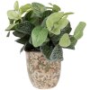 Clayre & Eef keramische plantenpot Ø 15x15 cm beige-groen