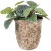 Clayre & Eef Blumentopf Ø 13x13 cm beige-groen