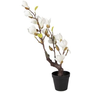 Clayre & Eef Magnoliaboom 60 cm wit-bruin